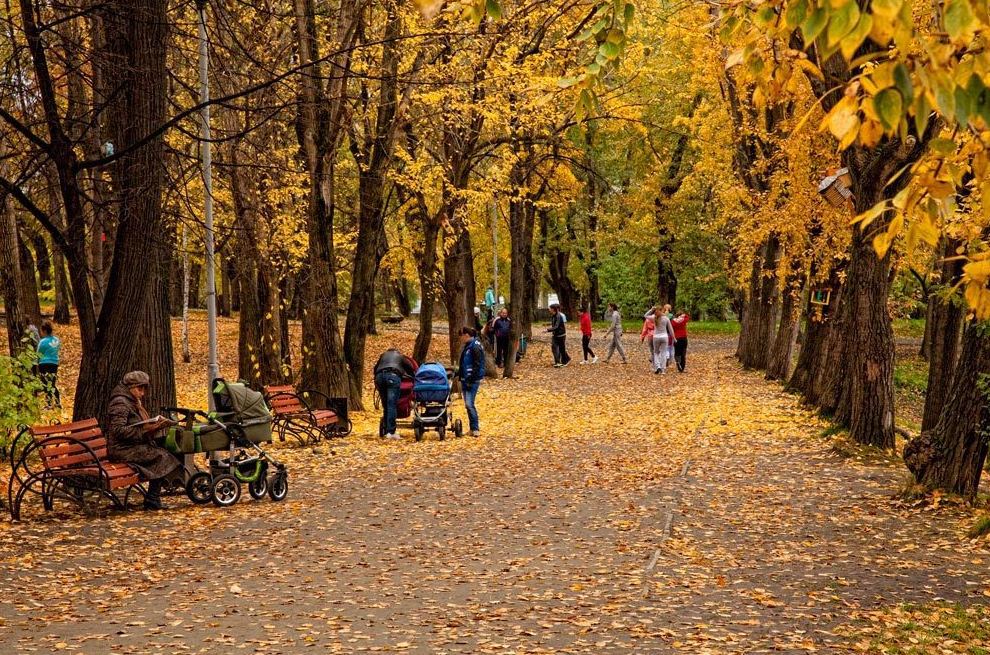 Екатеринбург октябрь. Парк Екатеринбурга осенью. Осенний парк Екатеринбург. Основинский парк осенью. Прогулка в городском парке.