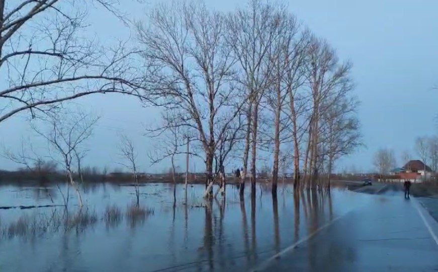 Повышение уровня воды в реке Тобол достигло критических отметок