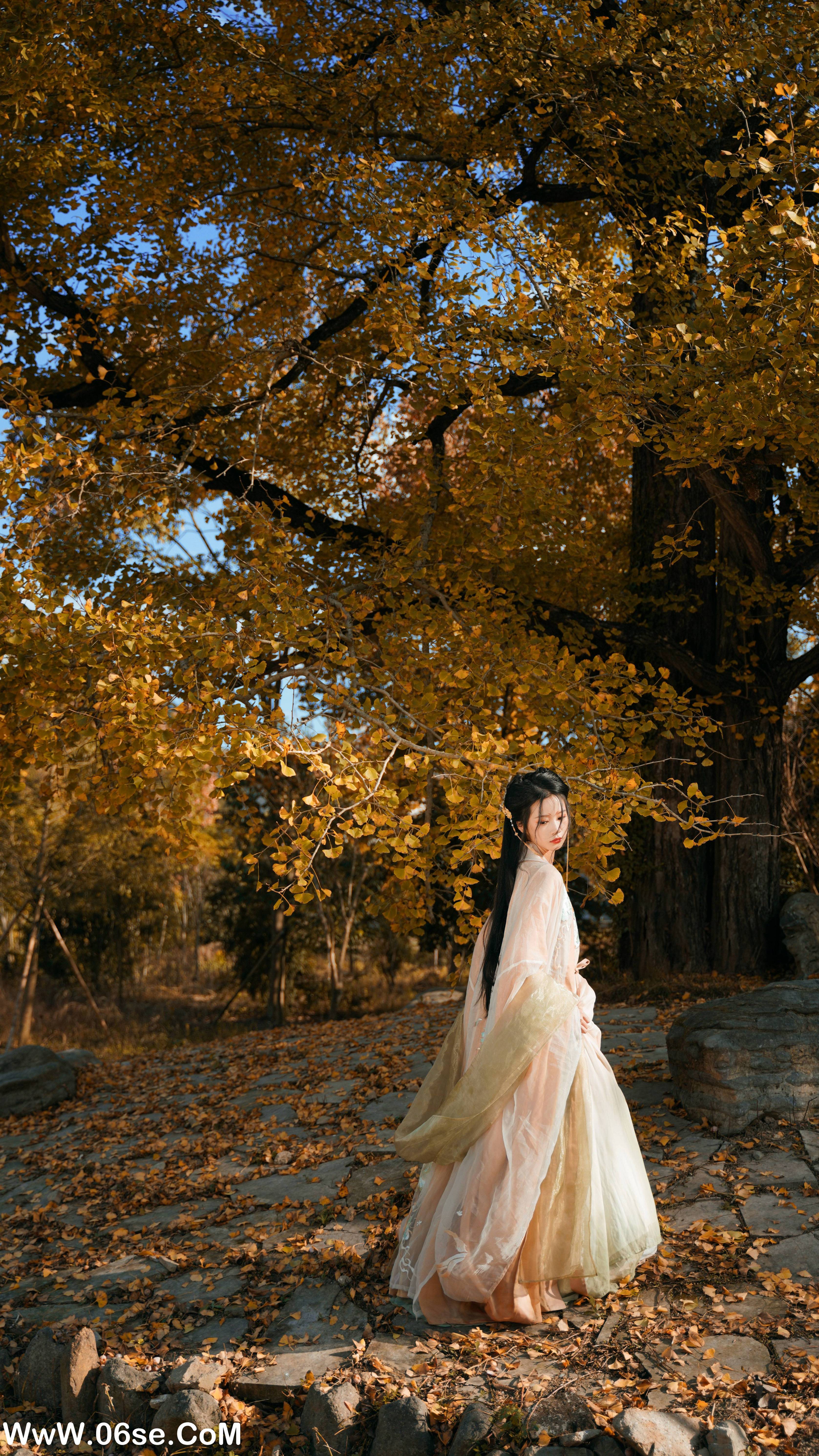 图片[5]-[YITUYU艺图语]2022.12.12 银杏树下 旺旺小小舒[38+1P／467MB]-六色网