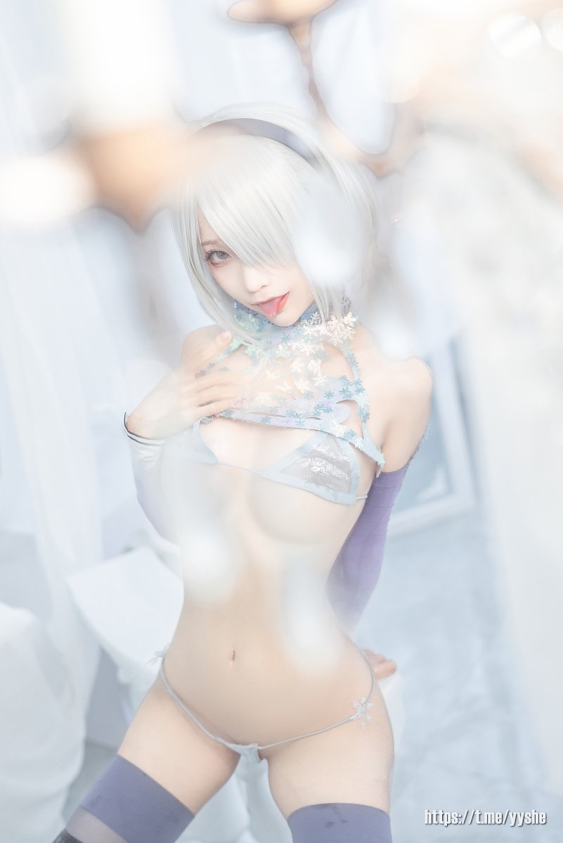 蠢沫沫 - 2B 冰雪 [35P] 25
