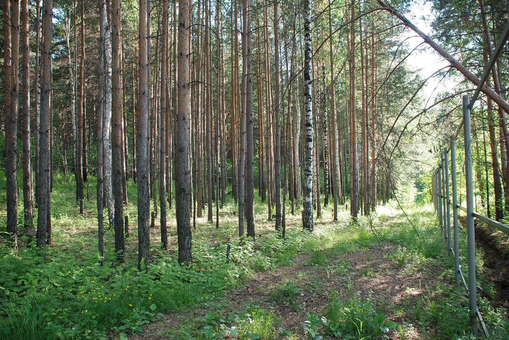 Нижнеисетский лесопарк екатеринбург карта