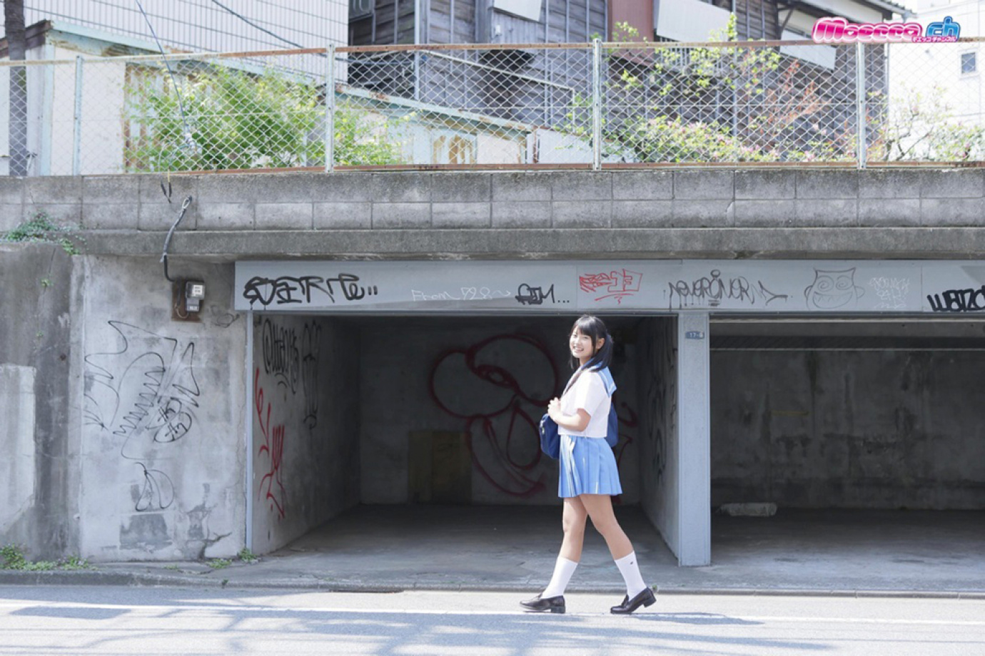 [Image: 1bcd4deca338a82805f14.jpg]