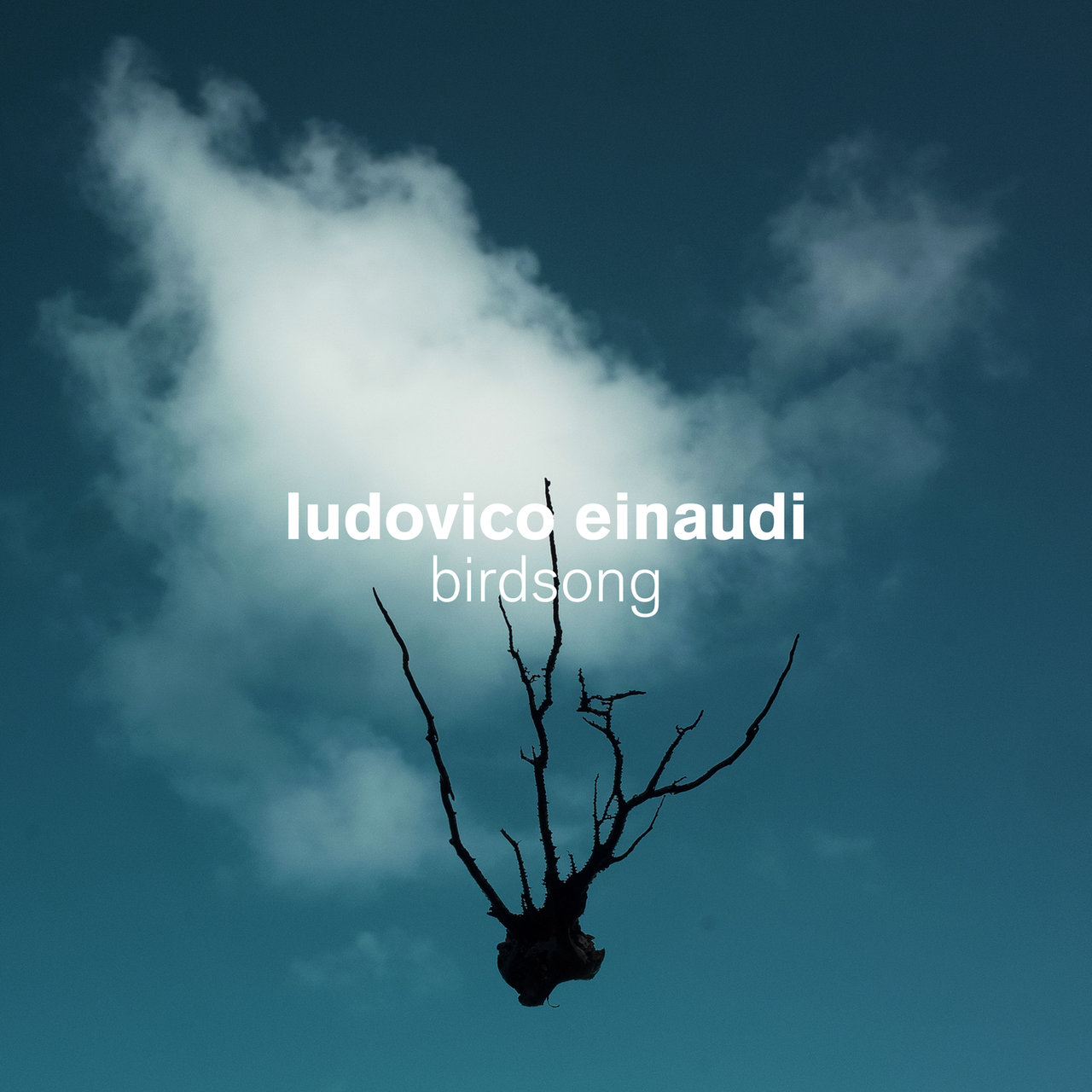 Experience ludovico einaudi daniel hope virtuosi italiani