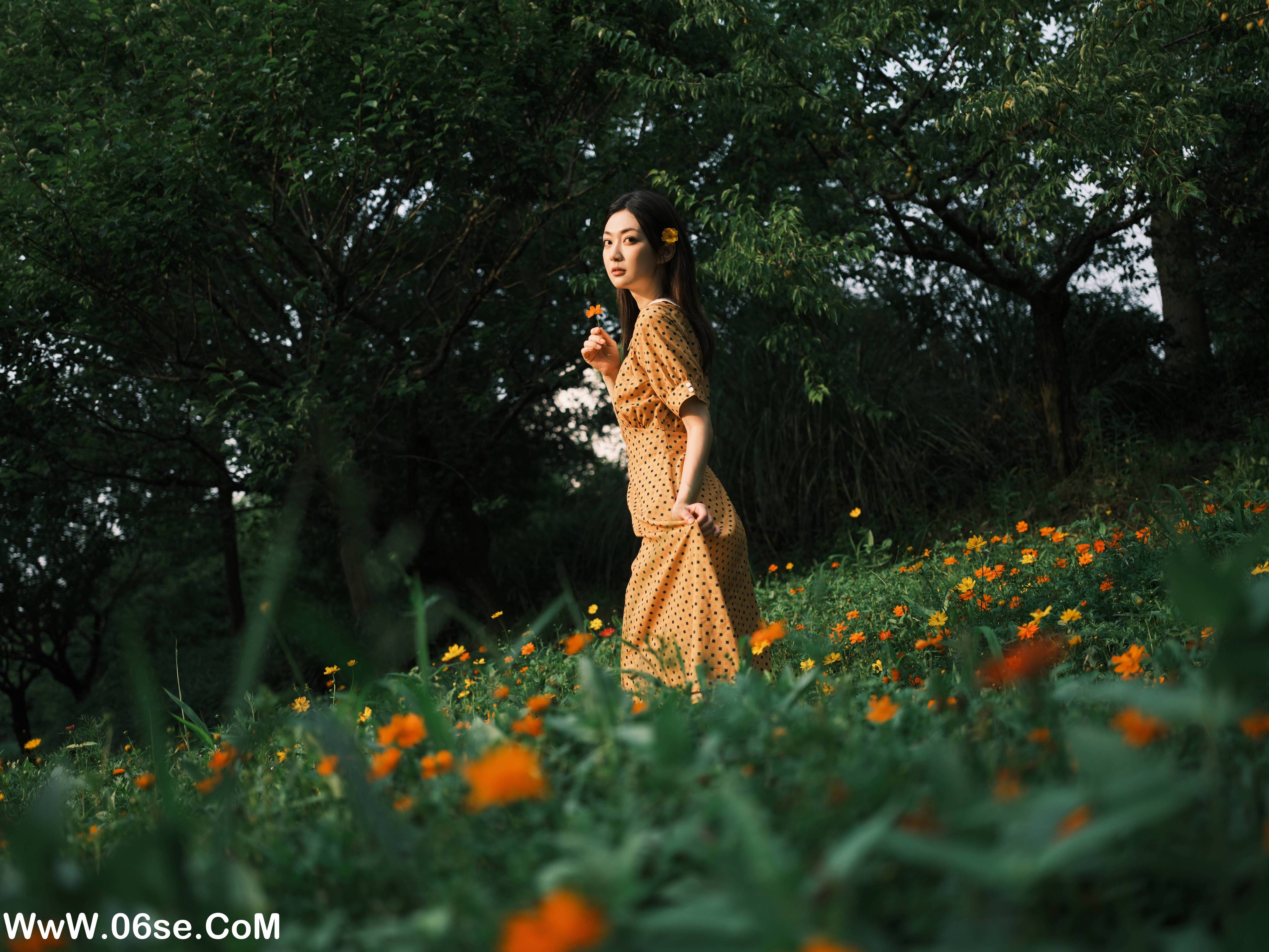 图片[11]-[YITUYU艺图语]2022.08.08 硫华菊&柳叶马鞭草-是夏天的味道呀！ 飞鸟咕咕-[43+1P／1.08GB]-六色网