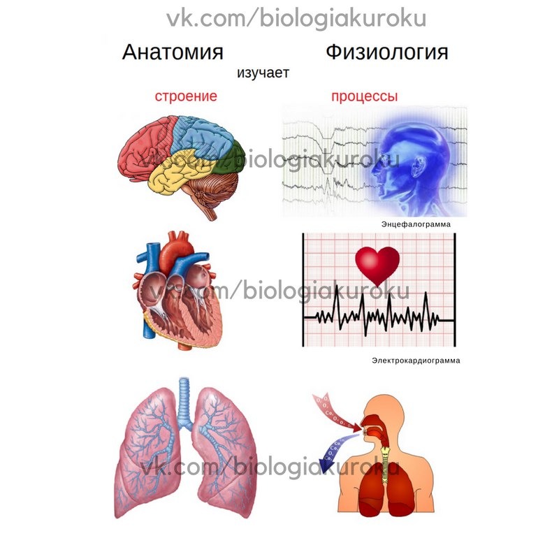 Science огэ