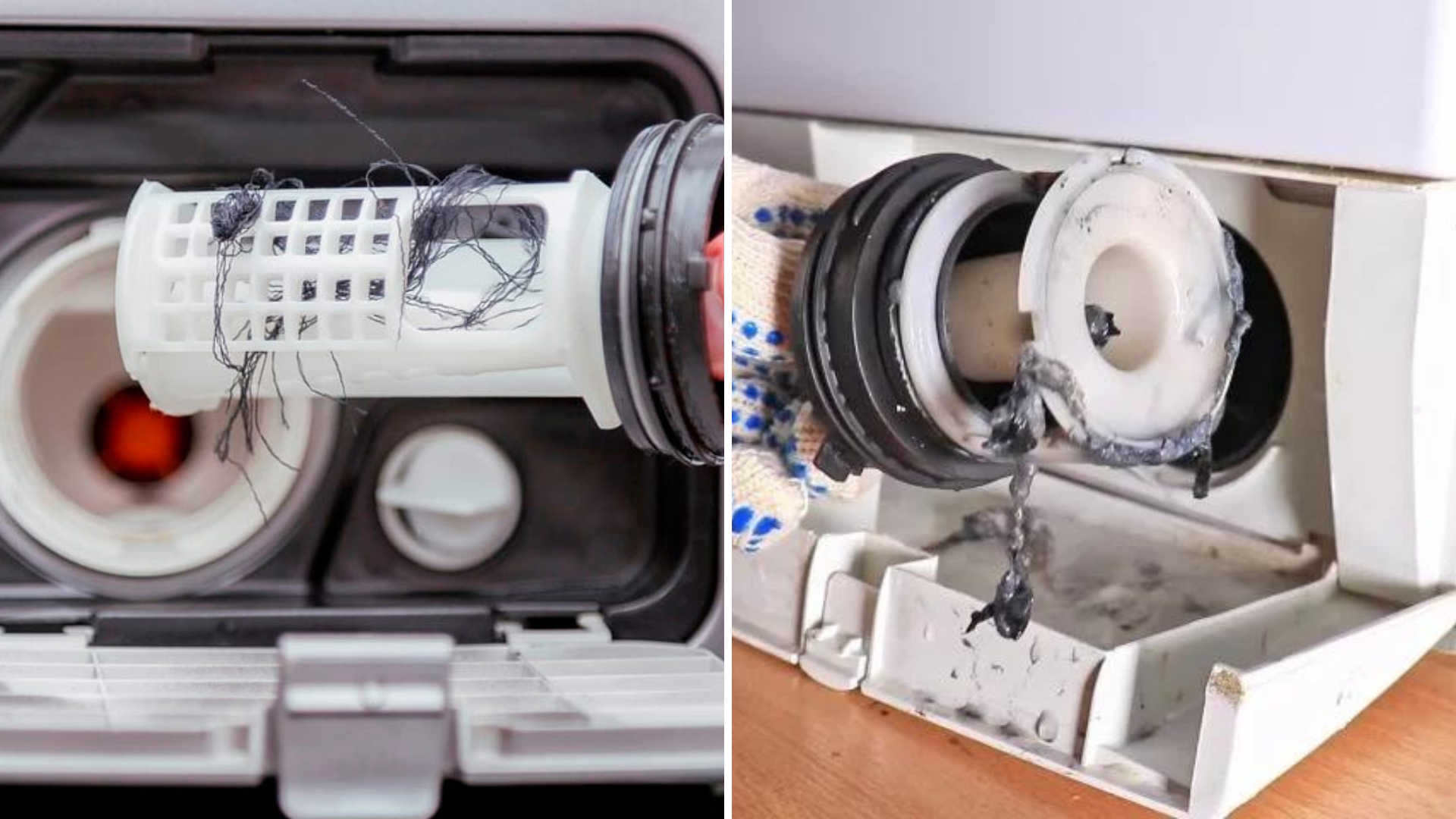 Генеральная чистка стиральной машины — пошаговый гайд – Telegraph