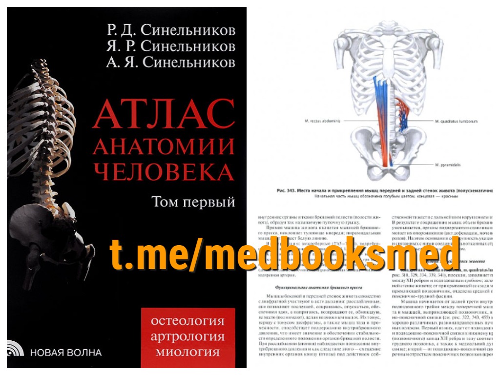 Атлас синельникова анатомия 2 том. Атлас анатомии человека Синельников 1 том. Синельников атлас 4 том. Атлас анатомии человека Синельников. Атлас анатомии человека Синельников том 4.