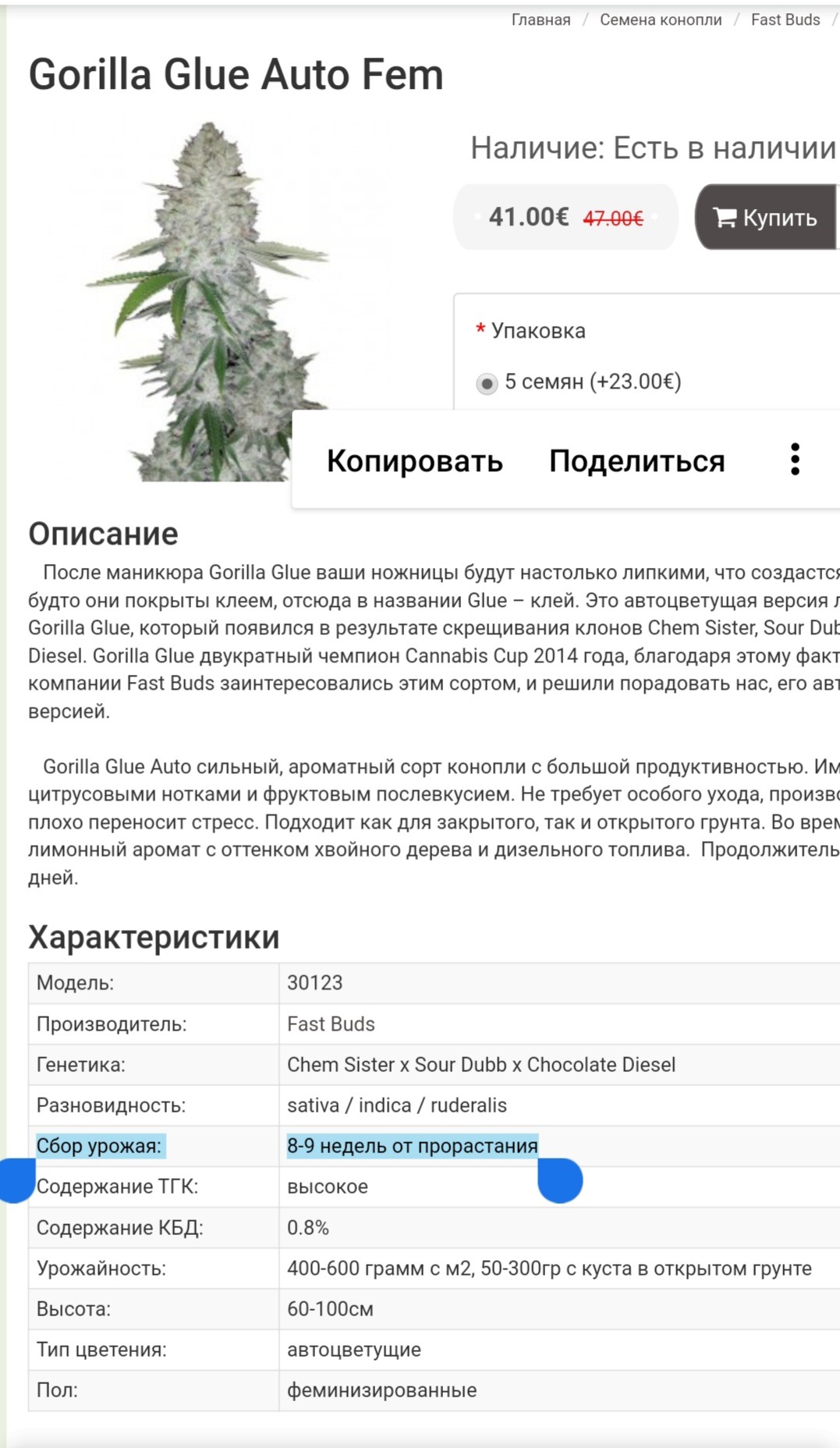 Gorilla glue auto fem купить в украине дешево