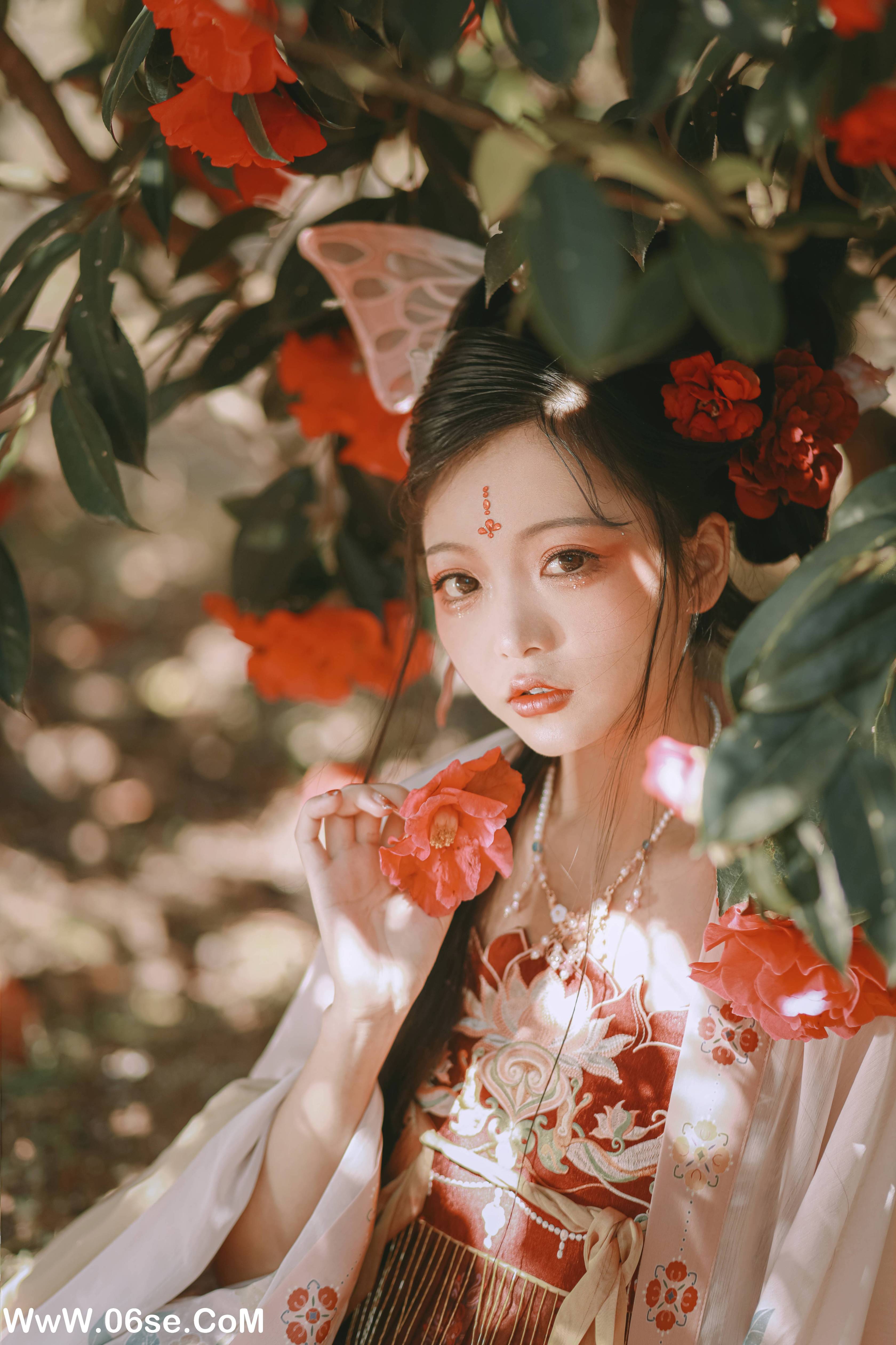 图片[41]-[YITUYU艺图语]2022.06.26 山茶花神 芍药_Y[42P-469M]-六色网