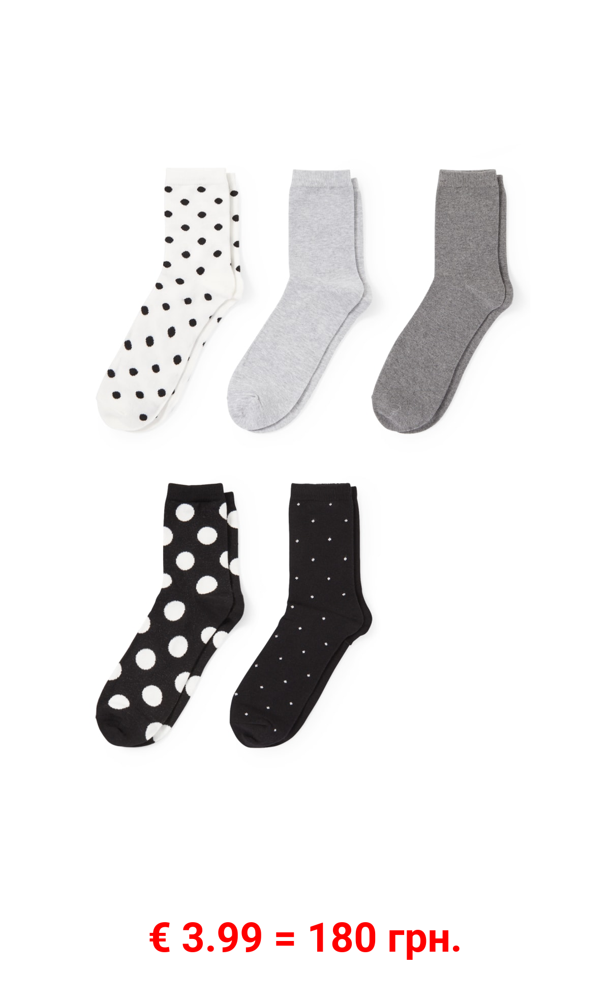 Multipack 5er - Socken - gepunktet