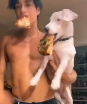 Pizza para el perro
