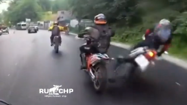 Motorista atropella a un caballo