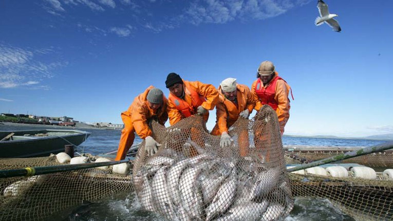 Сбербанк намерен вкладывать деньги в рыбную промышленность