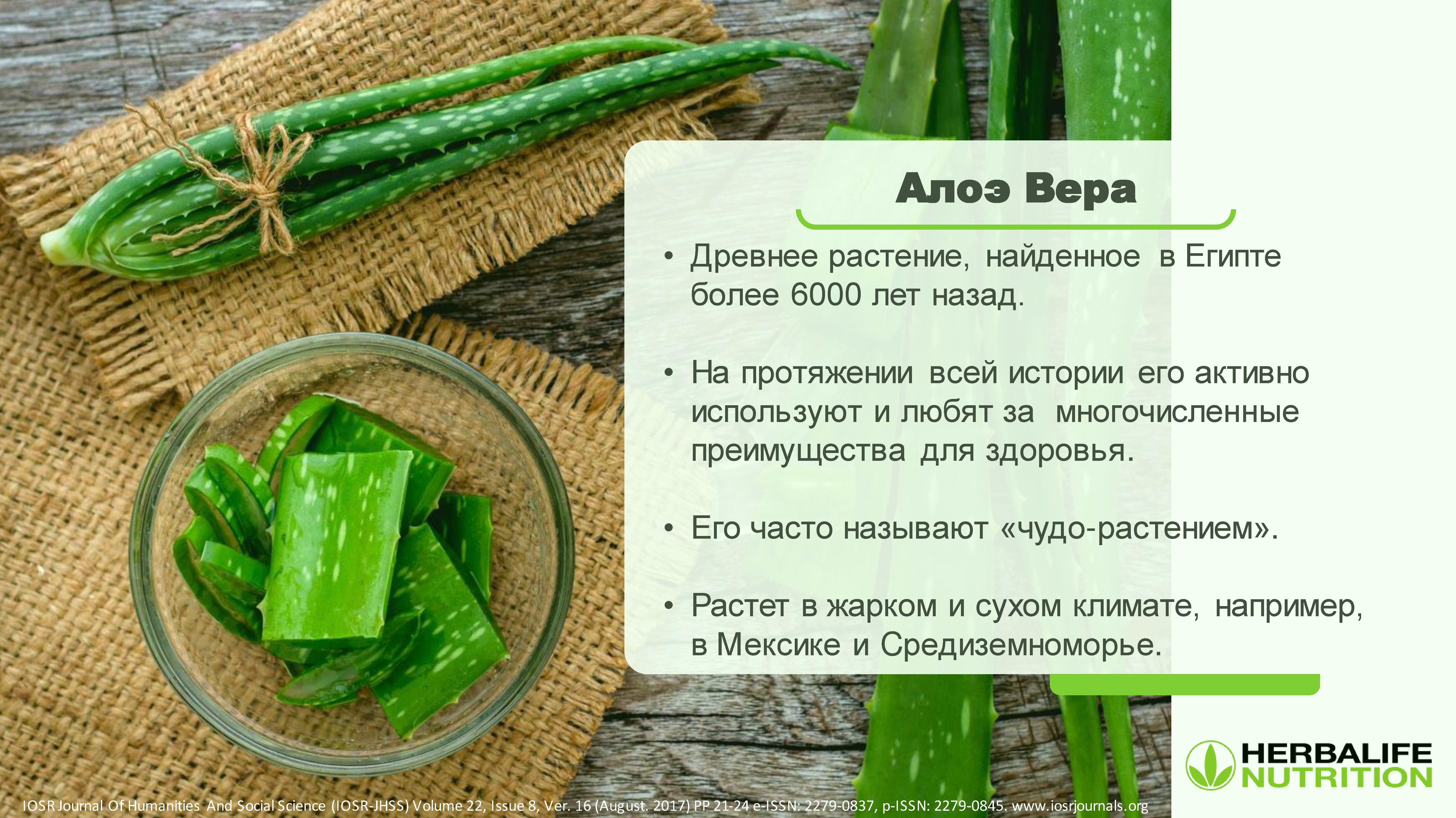 Кто похудел с алоэ вера без спорта