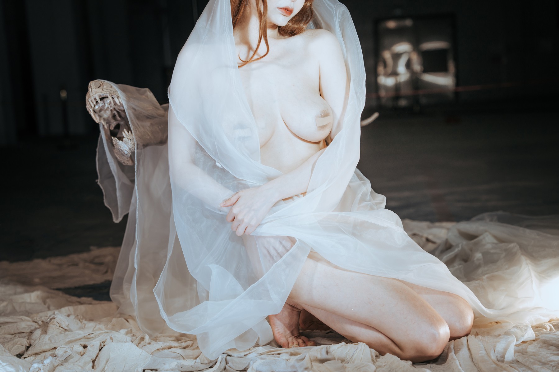 Cosplay 夏小秋秋秋 纱 53