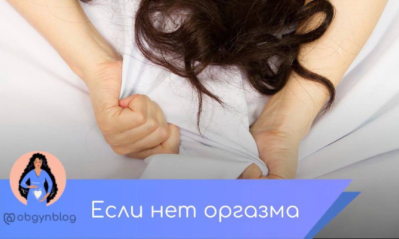 Блог акушера дзен последние публикации