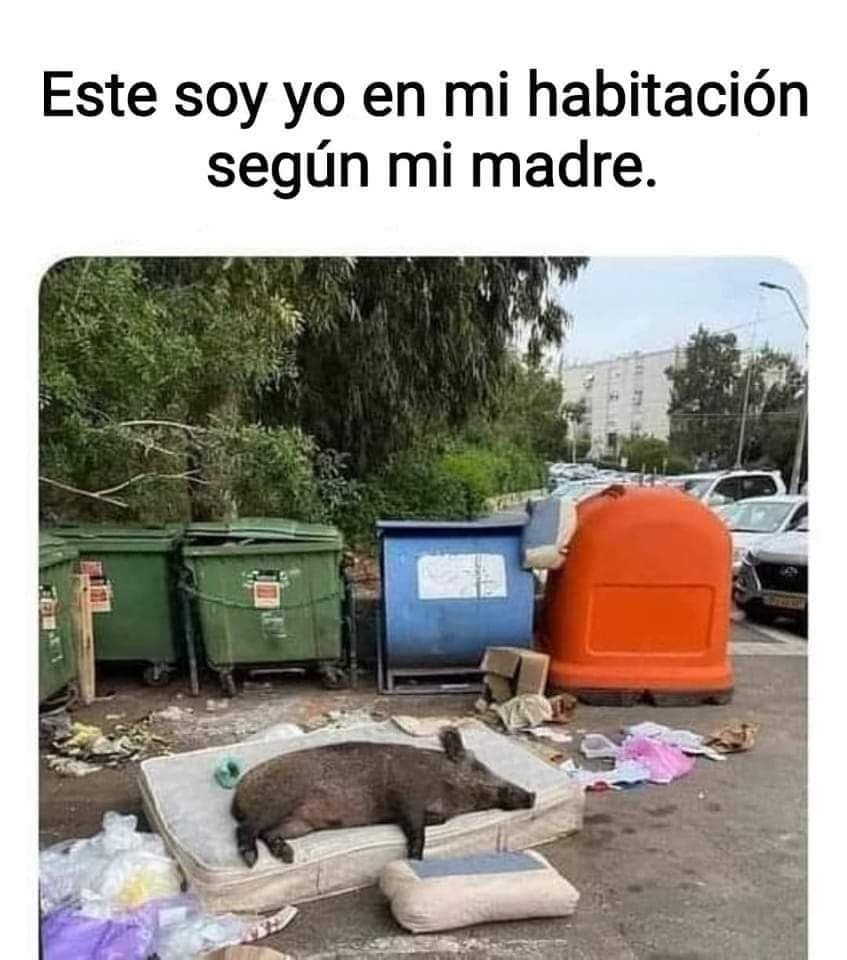 Yo en mi habitación según mi madre