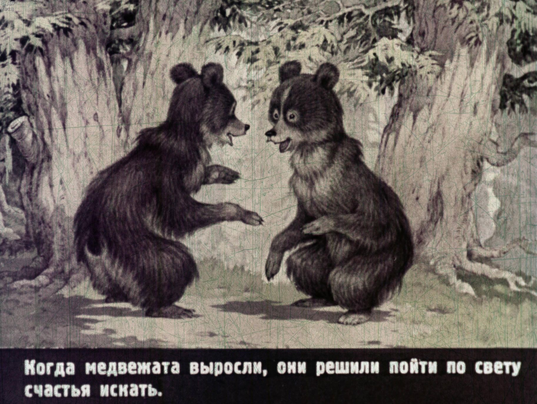 Два жадных медвежонка иллюстрации к сказке