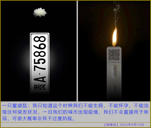 https://telegra.ph/file/2147464dd079c504b3676.jpg