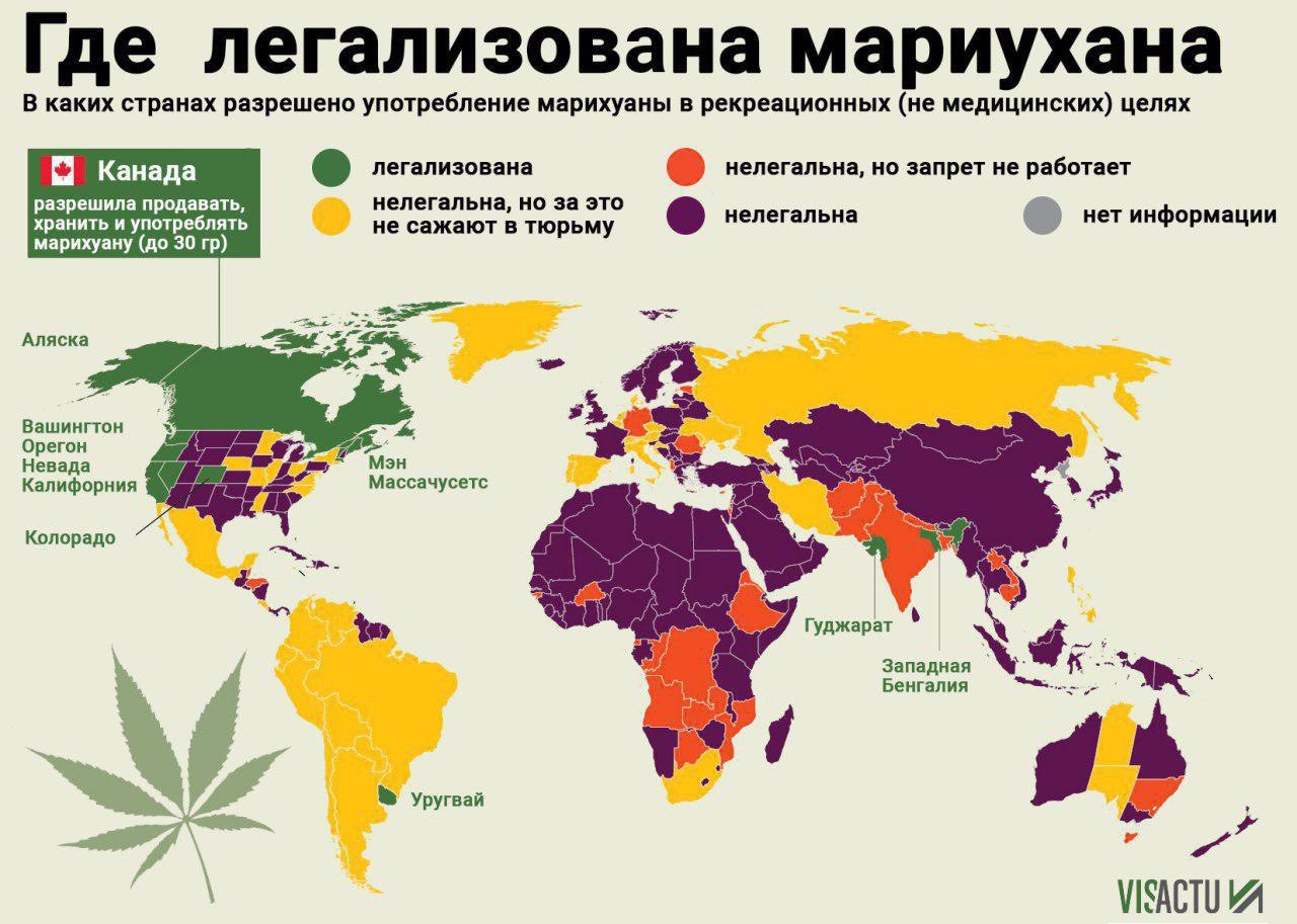 Статистика употребления марихуаны в россии героин лучший день