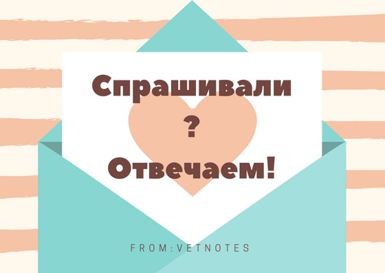 Вопрос-ответ: Зубной камень – Telegraph