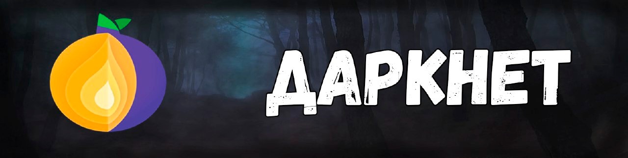 Брут дедиков – Telegraph