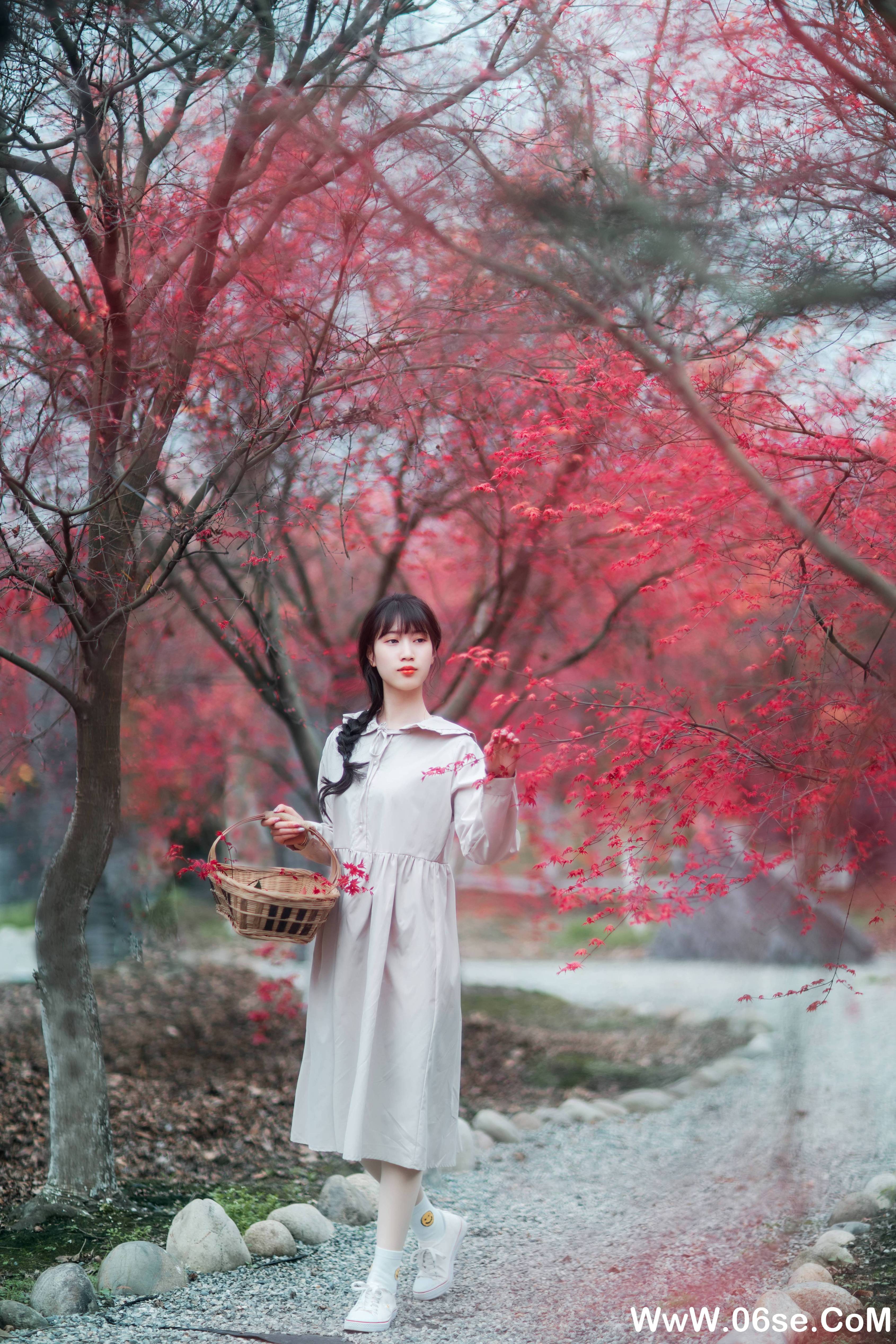 图片[5]-[YITUYU艺图语]2021.12.23 枫林春晓 初茶[38+1P／745MB]-六色网