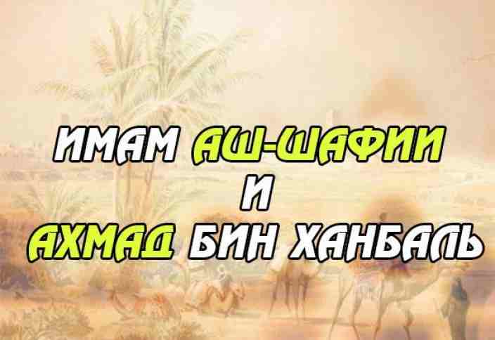 Мухаммад аш шафии. Имам Шафии. Имам Шафии и имам Ахмад. Слова имама Шафии Ахмаду. Случай имама аш-Шафии и имама Ахмада.