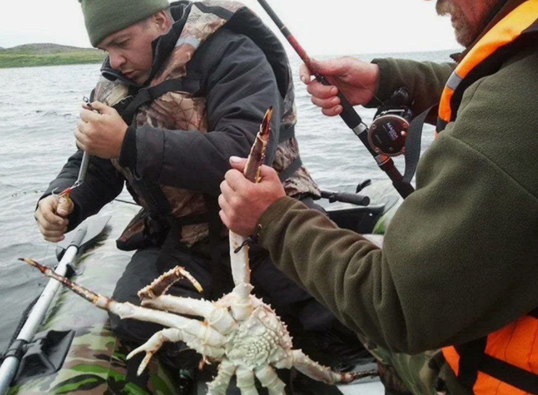 Можно ли ловить. Ловля краба в Баренцевом море. Ловля краба на удочку. Краб для рыбалки. Ловля Камчатского краба на удочку.