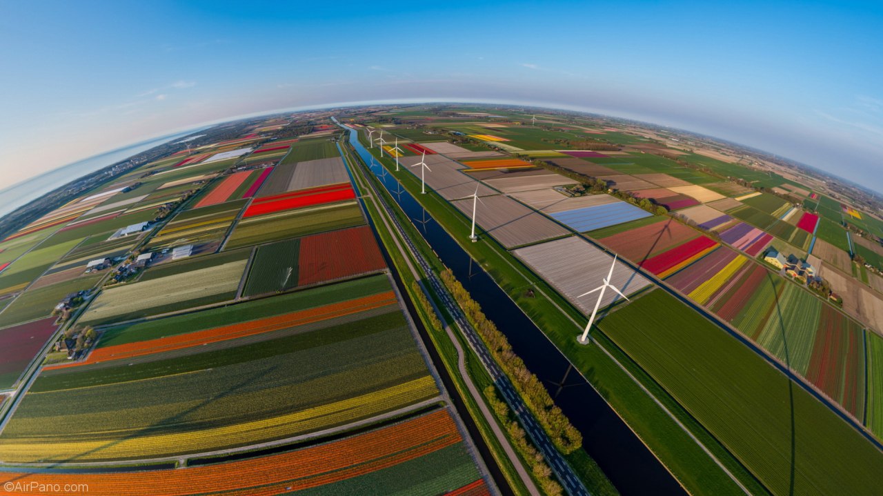В Нидерландах оспорили данные о выбросе азота