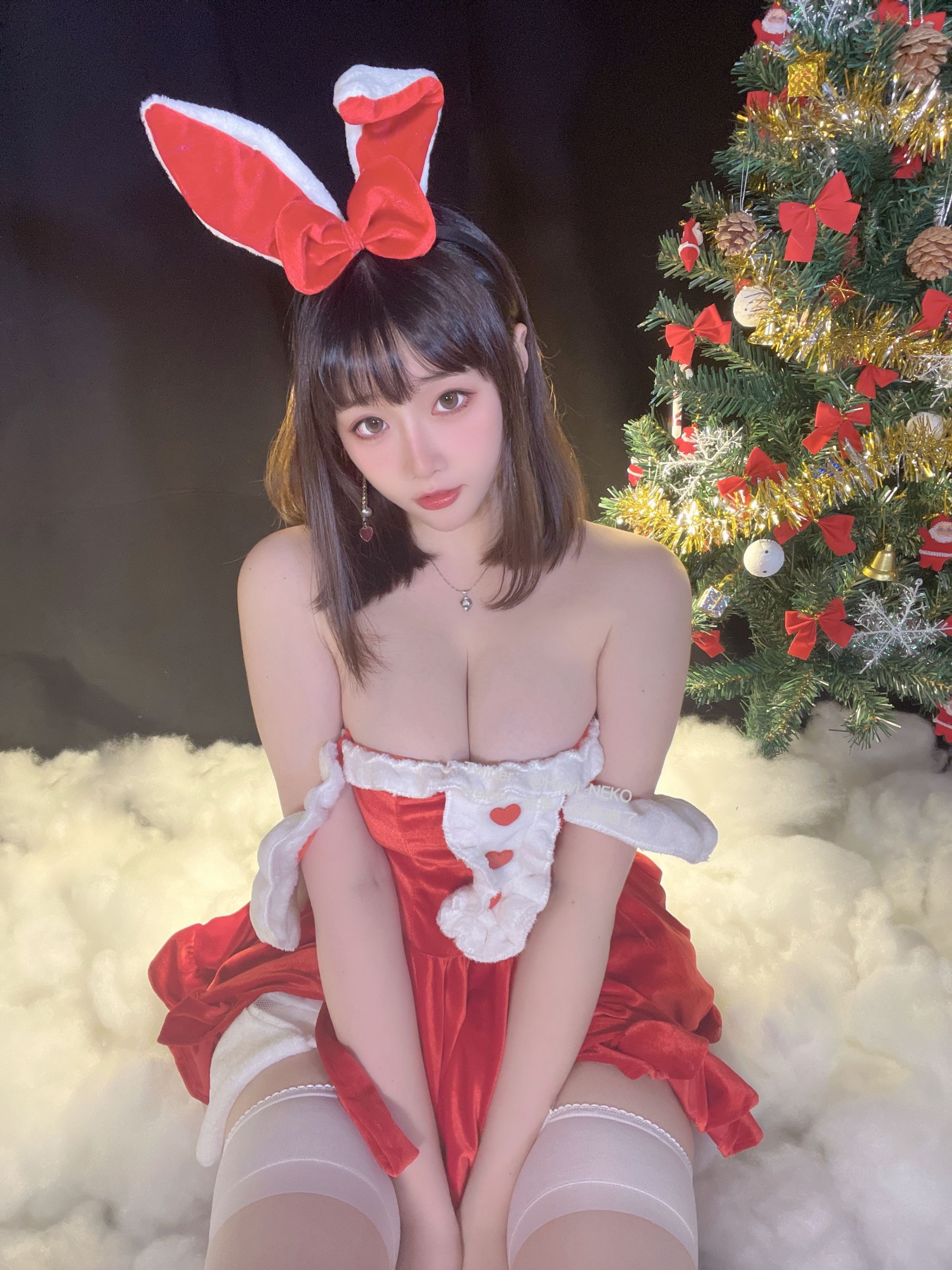一只废喵 圣诞比基尼+连衣裙 [72P3V-620MB] 65