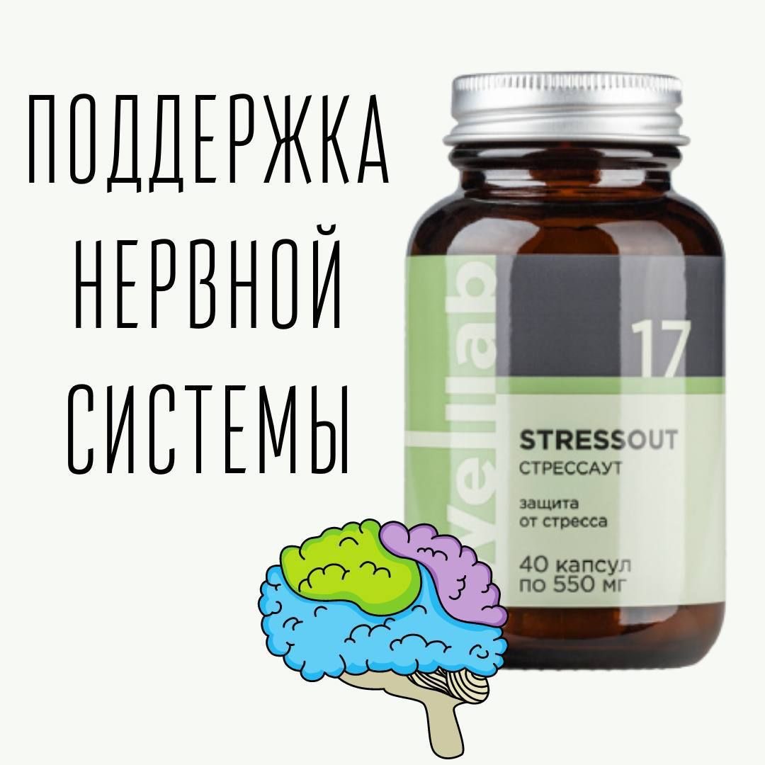 Стрессаут. Welllab Stressout. Стрессаут Гринвей описание. Стрессаут купить. Стрессаут Гринвей описание отзывы.