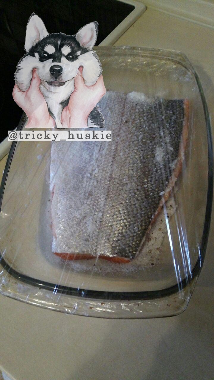 Соленая красная рыба – Telegraph