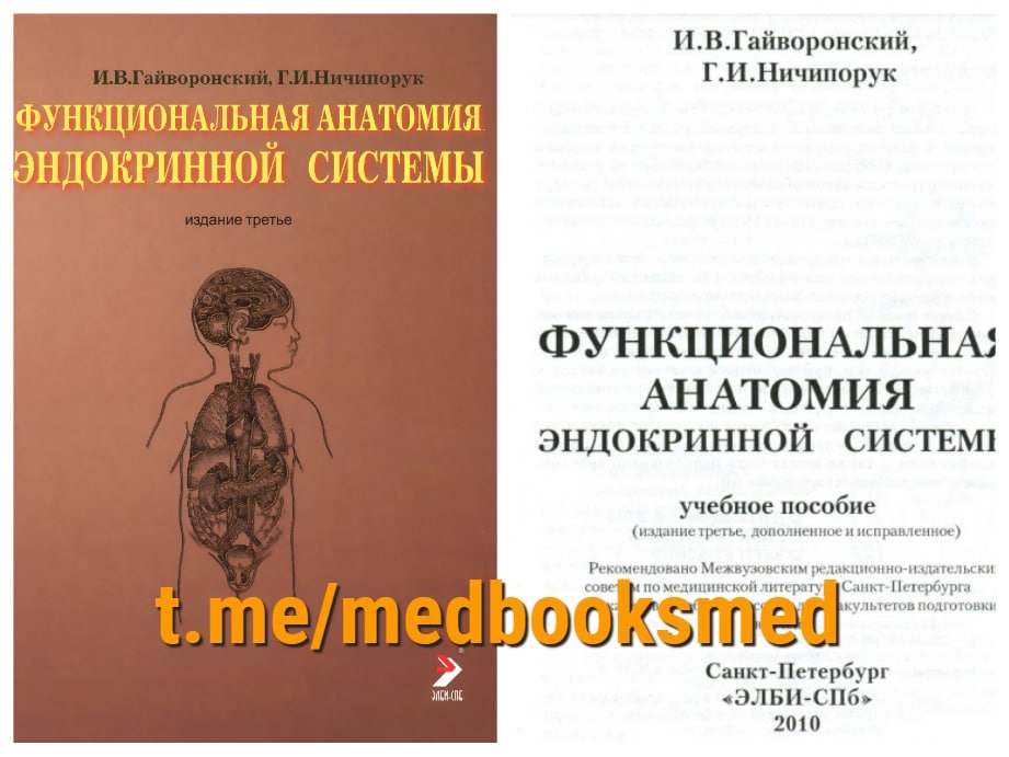 Тони гайворонский. Гайворонский эндокринная система. Гайворонский функциональная анатомия нервной системы. Эндокринные железы Гайворонский. Анатомия желез внутренней секреции Гайворонский.