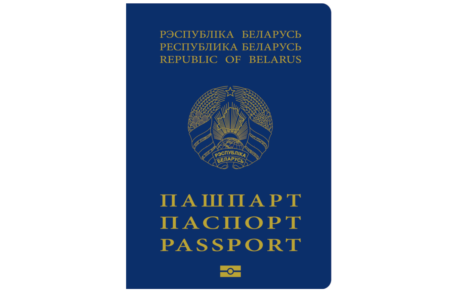 Biometric passport
