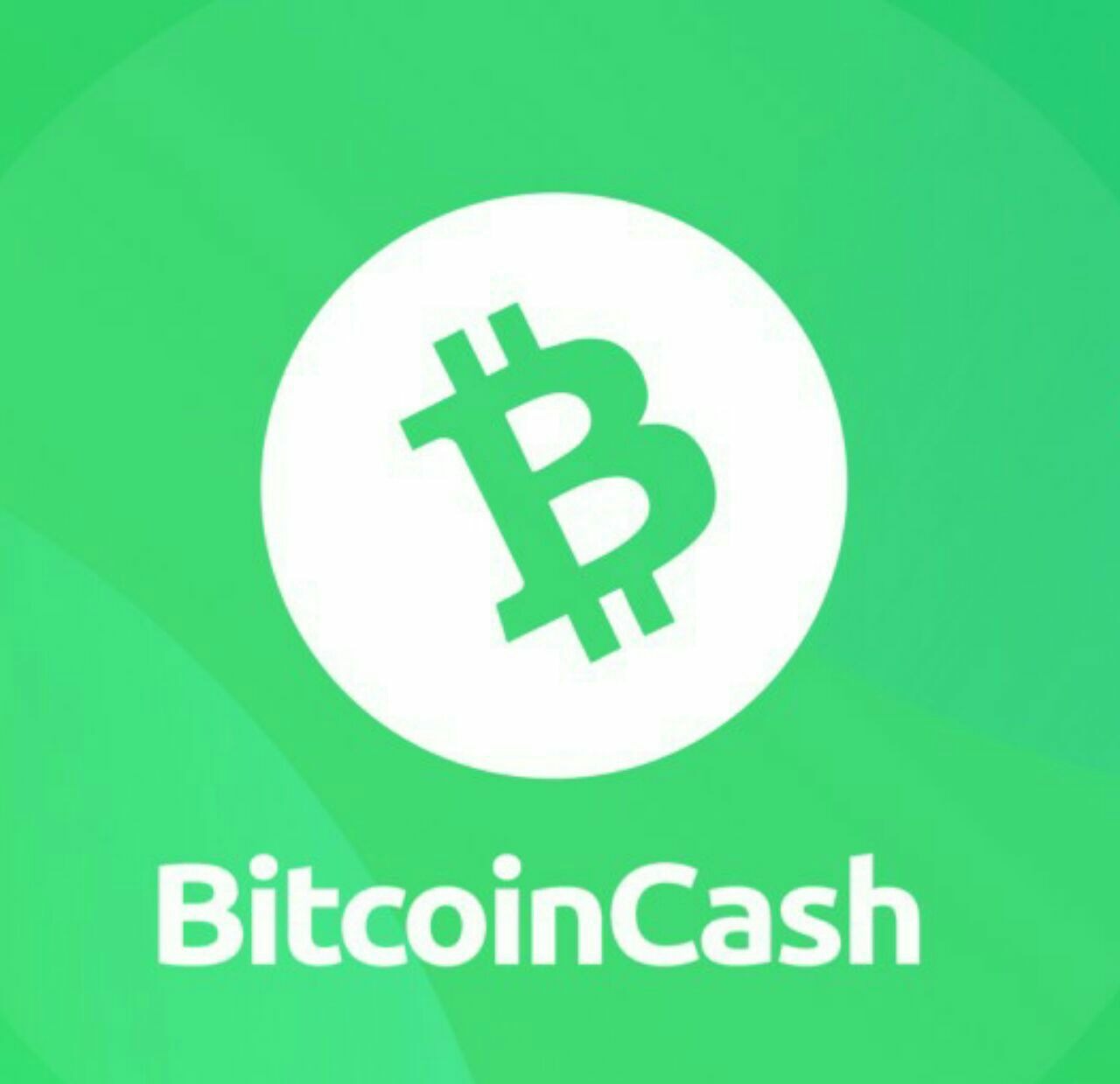 Bch cash