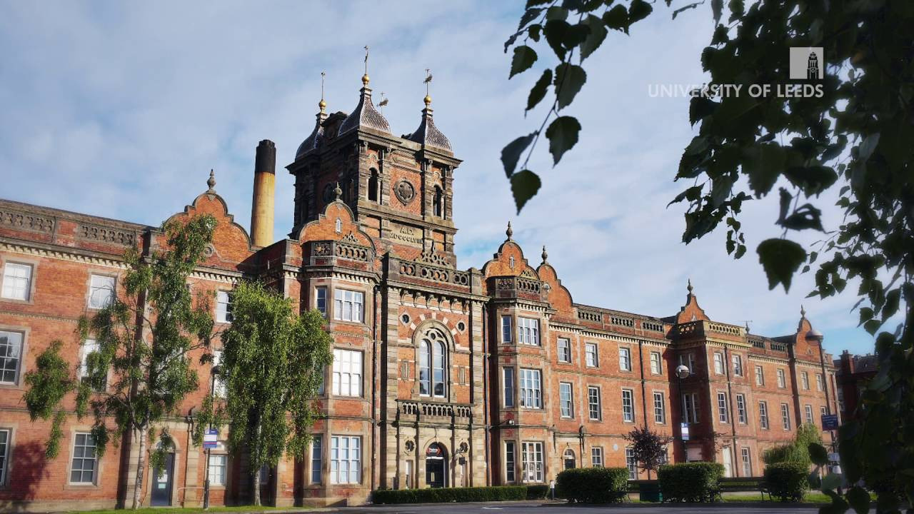 University of leeds. Университет города Лидса. Г.Лидс Великобритания университет. Университет Лидса Великобритания фото. Лидс город Флора.