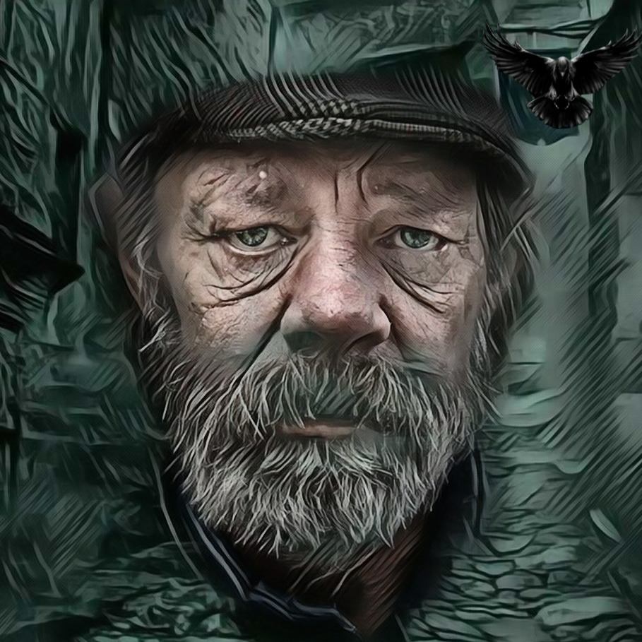 Бездомный – Telegraph