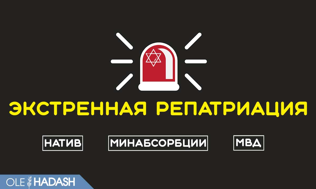 Репатриация в Израиль | OLE HADASH – Telegram