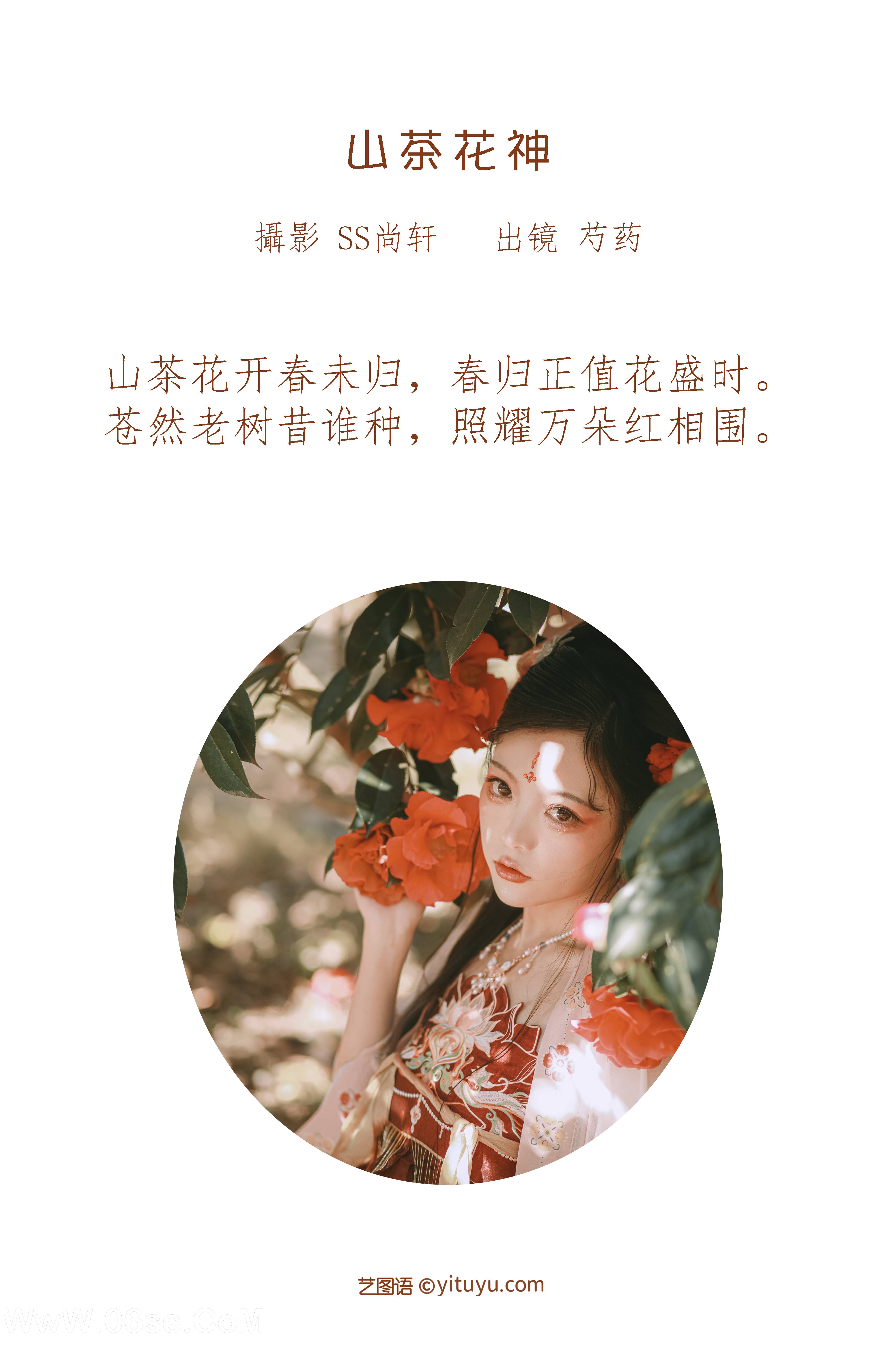 图片[2]-[YITUYU艺图语]2022.06.26 山茶花神 芍药_Y[42P-469M]-六色网