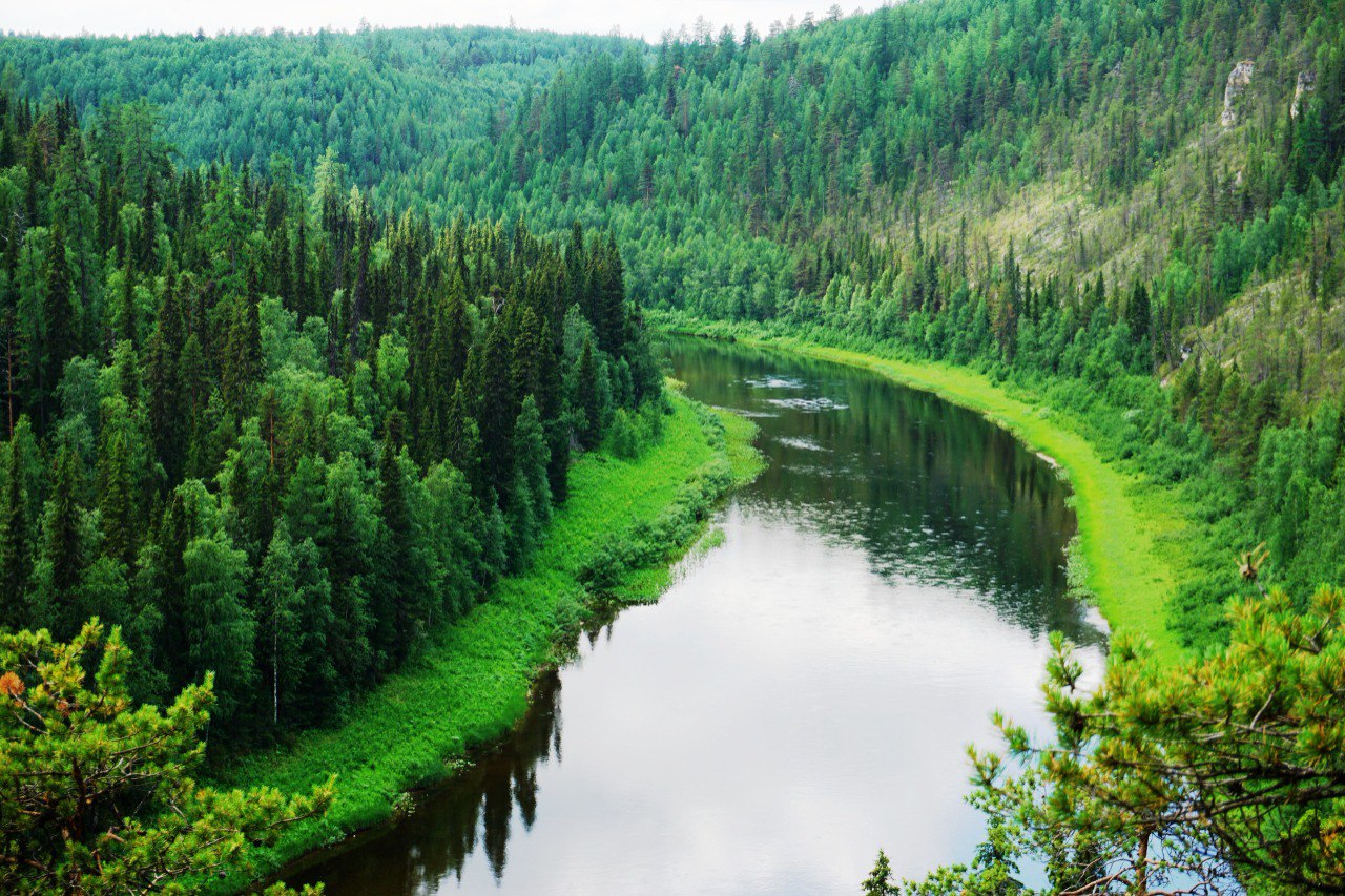 река пижма