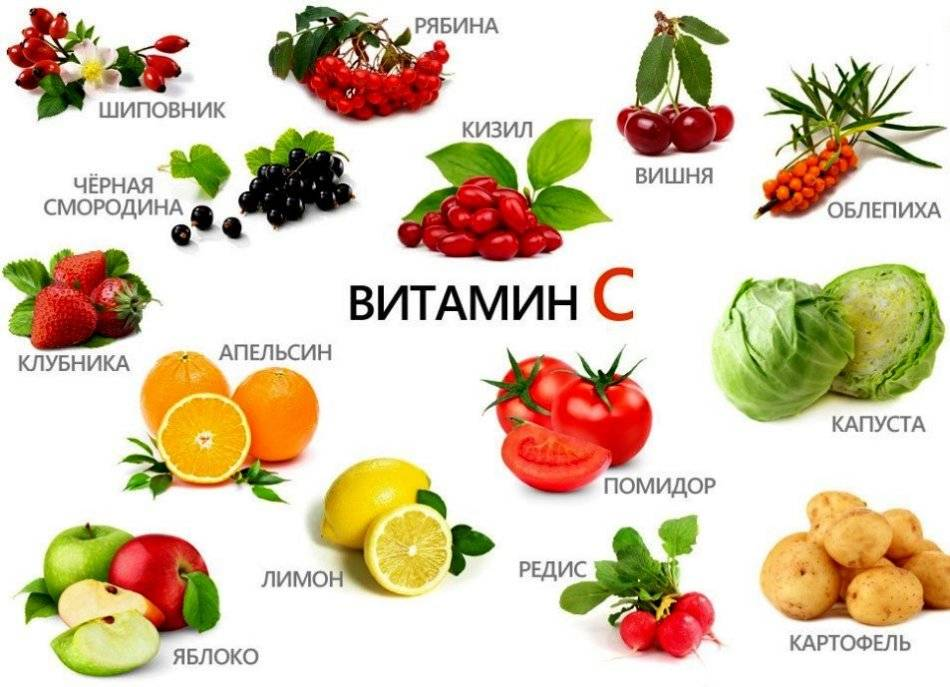 В каких продуктах много витамин – Telegraph
