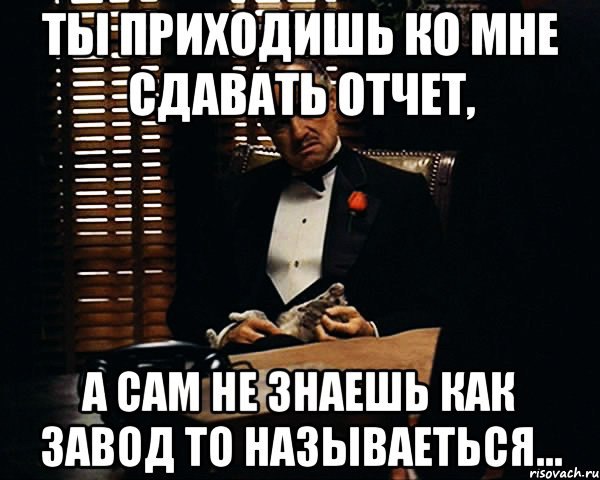 Вечером сдадим. Сдай отчет. Отчет сдан. Отчет юмор. Не сдал отчет.