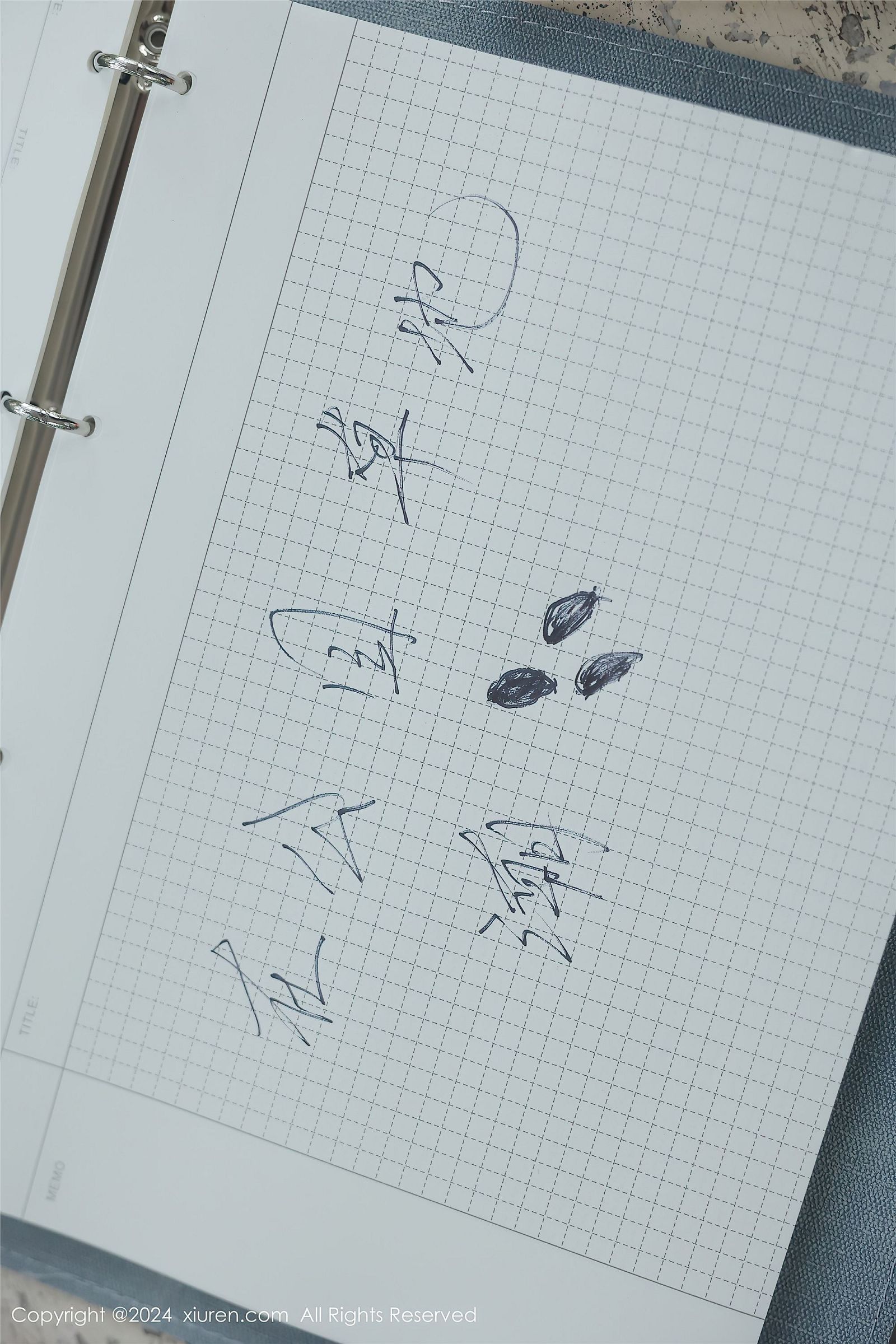 图片[56]-[XIUREN秀人网] 2024.04.02 NO.8335 小薯条nienie-六色网