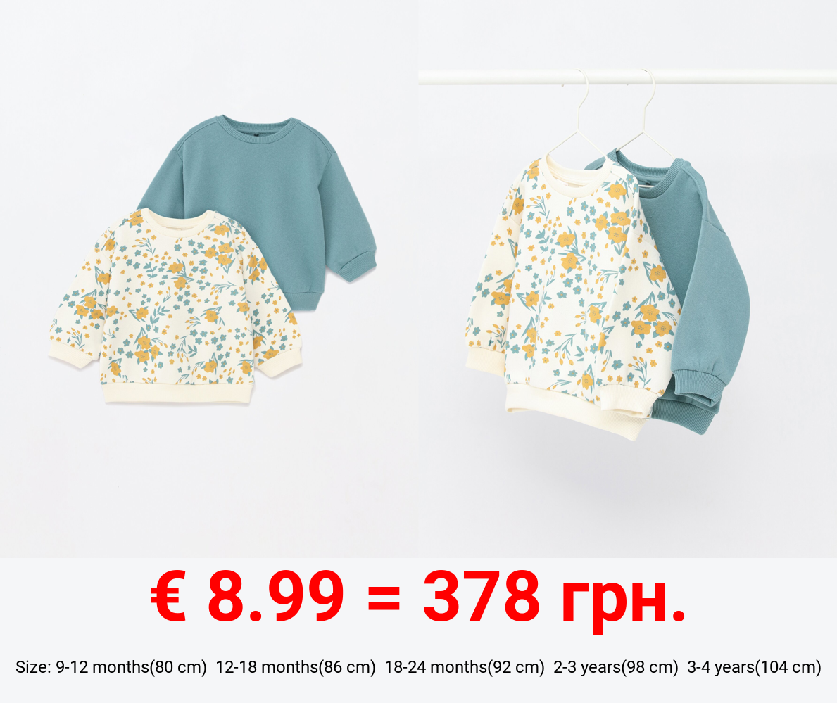 Pack of 2 assorted sweatshirts