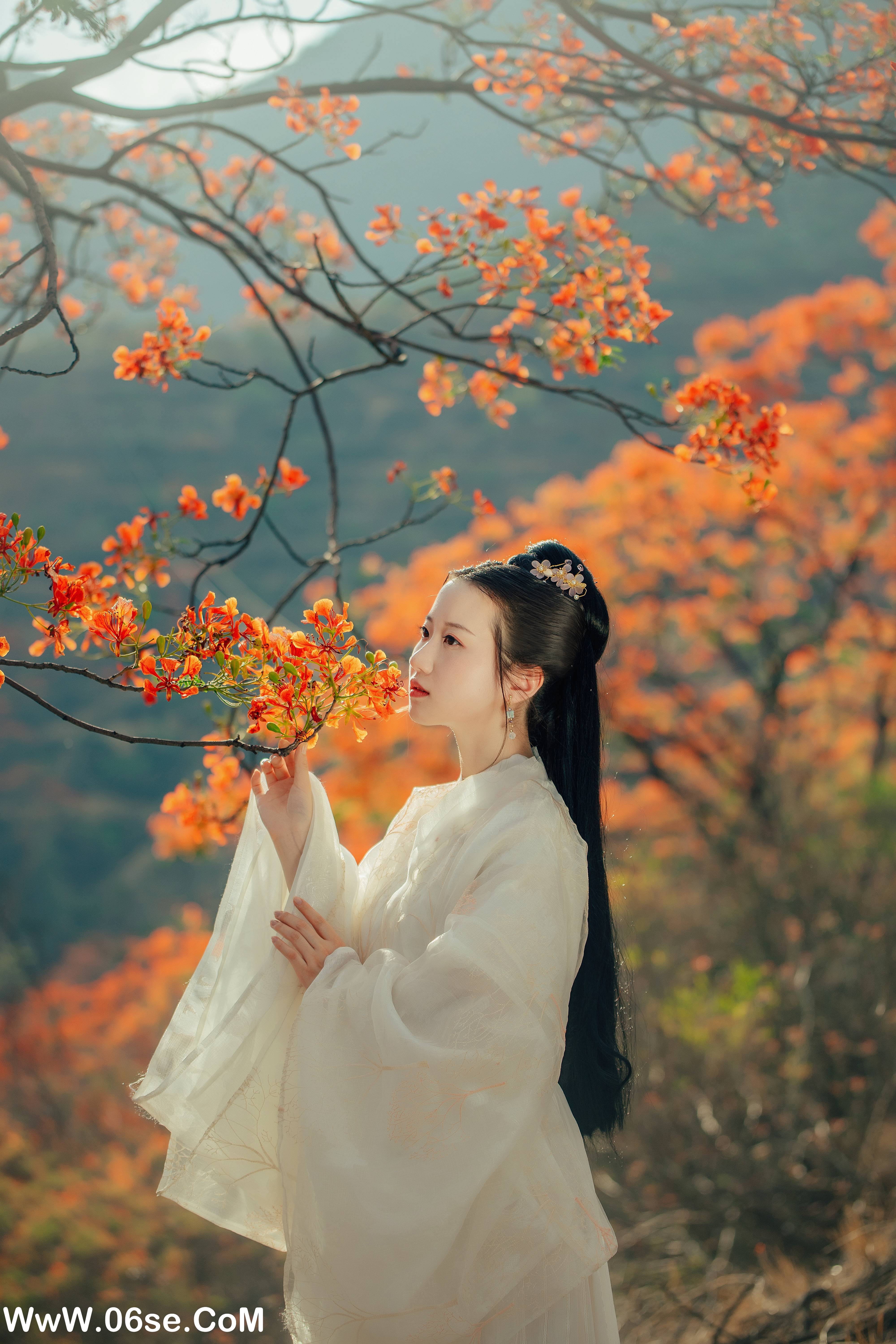 图片[6]-[YITUYU艺图语]2022.05.28 凤凰花开 粥米饭[26P-428.93MB]-六色网