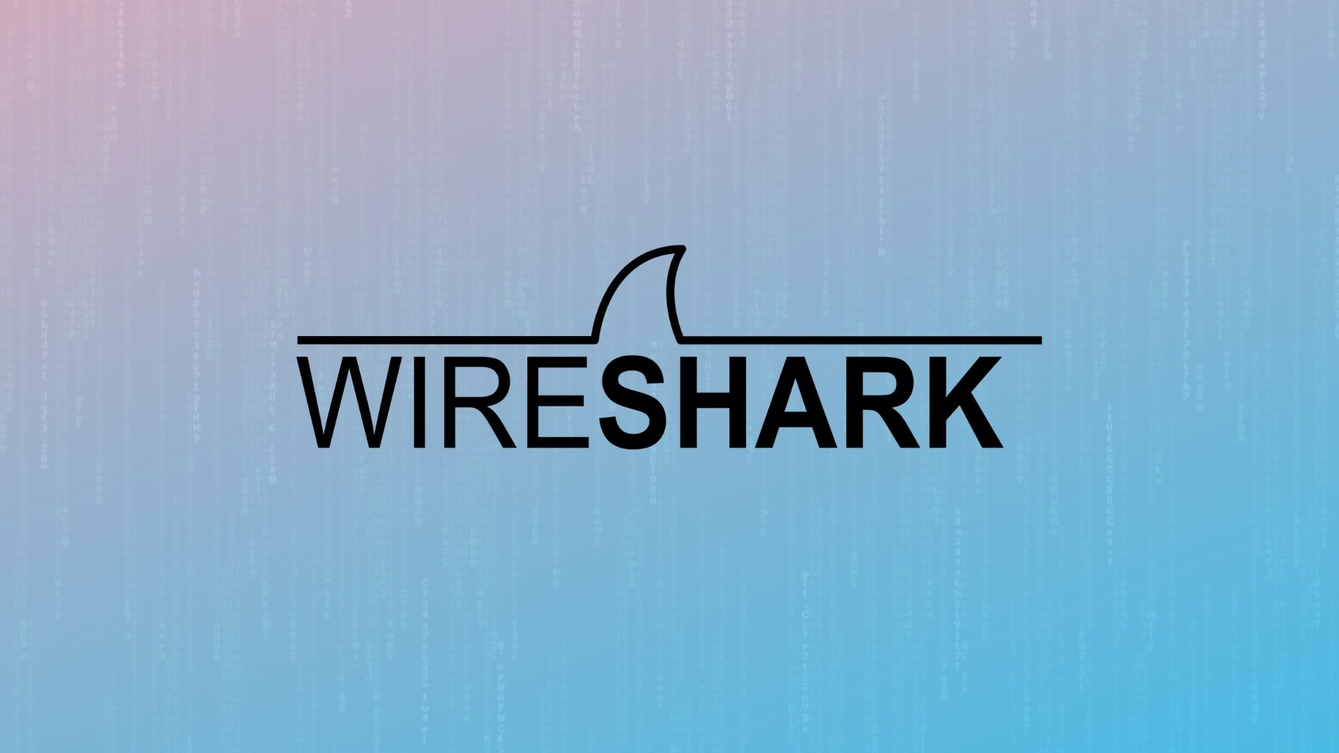 Перехват трафика [Wireshark] – Telegraph