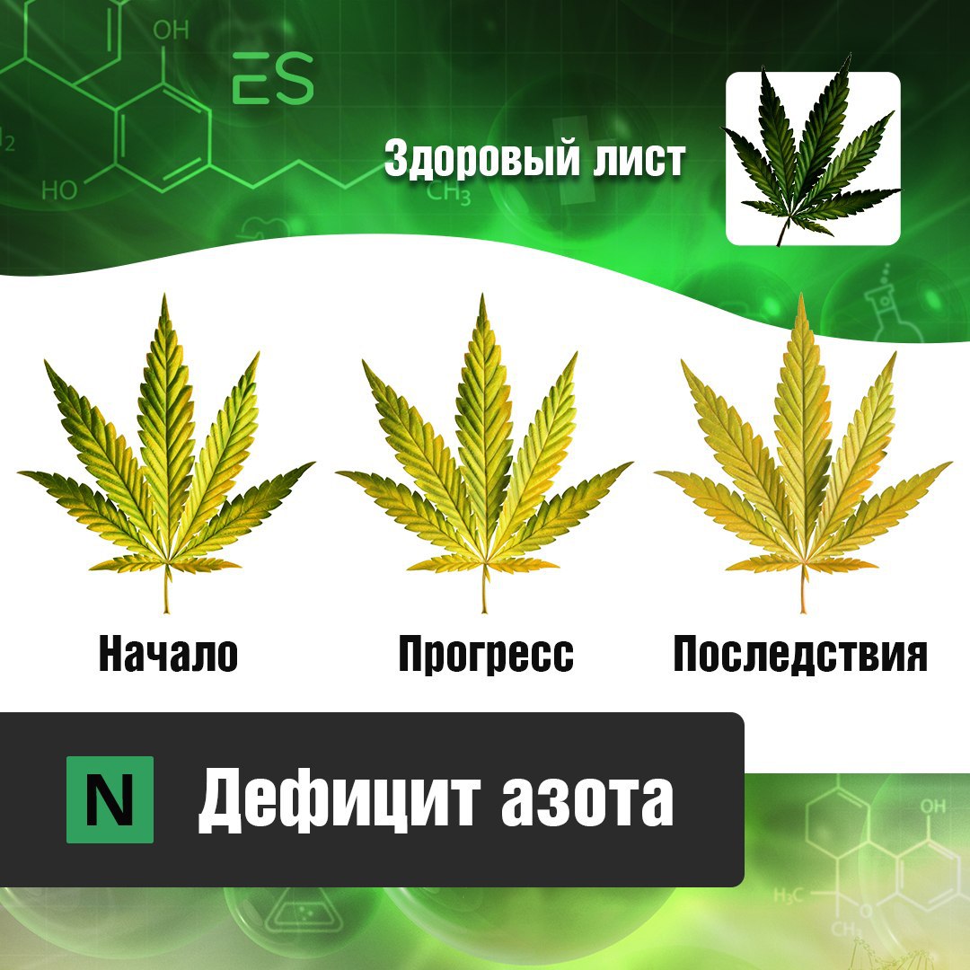 Как дуют марихуану мобильный тор браузер скачать бесплатно на русском hydra