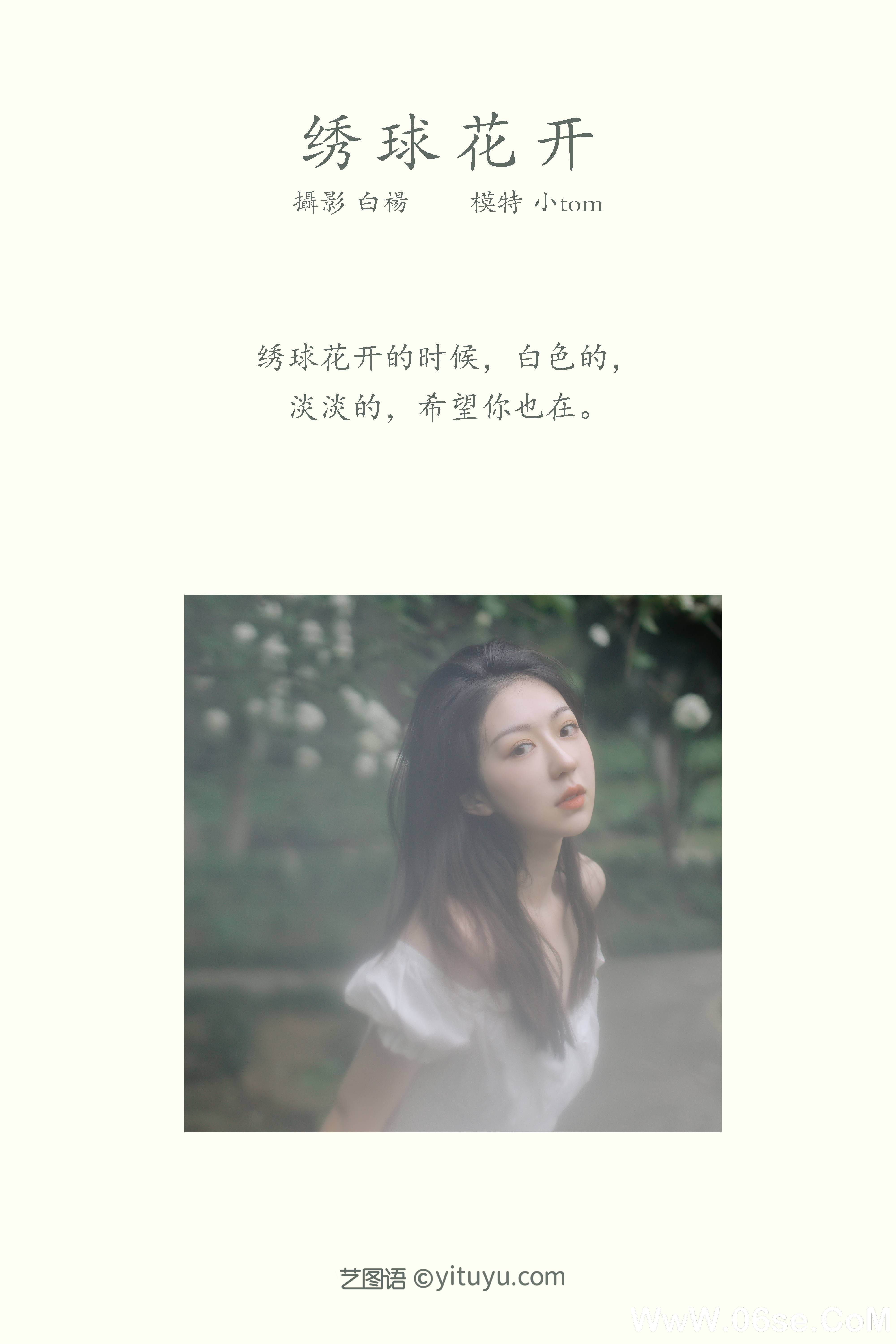 图片[2]-[YITUYU艺图语]2021.12.31 绣球花开 小tom[21+1P／271MB]-六色网
