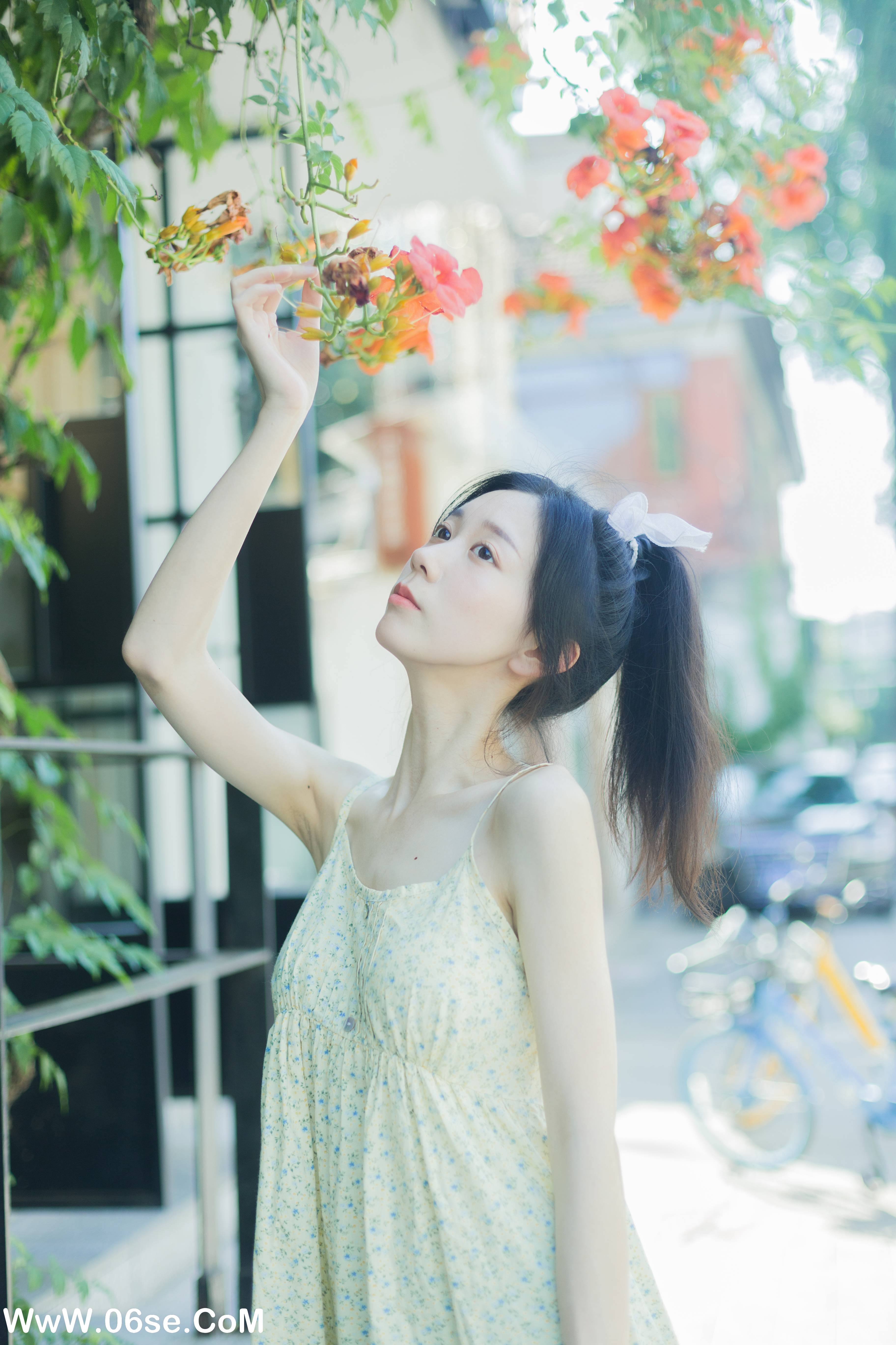 图片[24]-[YITUYU艺图语]2022.08.18 夏日凌霄 饲猫少女-[32+1P／311MB]-六色网